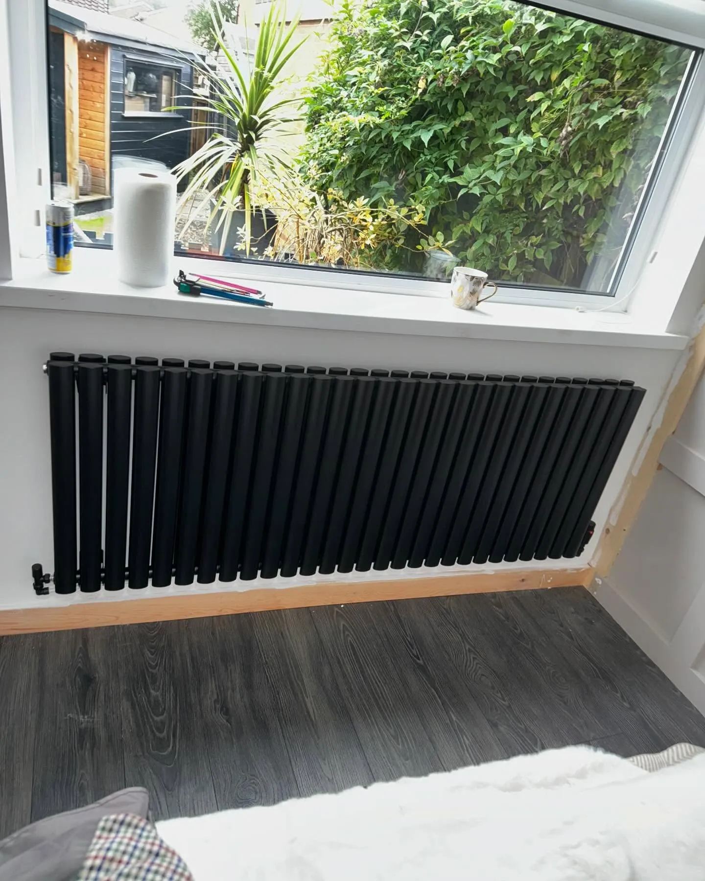 A room with a window and a radiator.